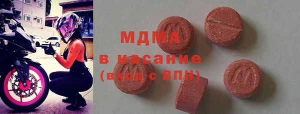 гашик Ельня