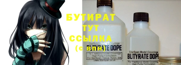 гашик Ельня