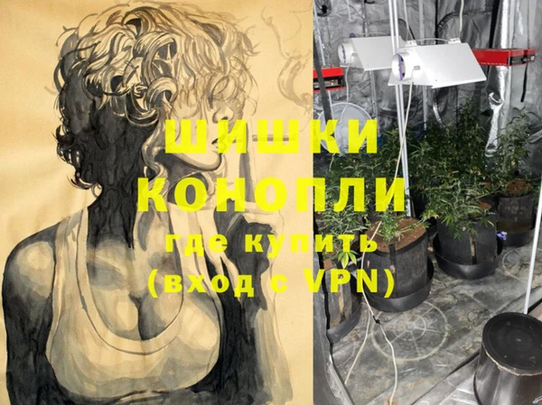 гашик Ельня