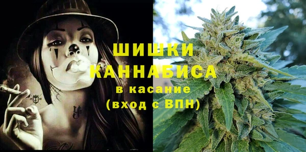 гашик Ельня