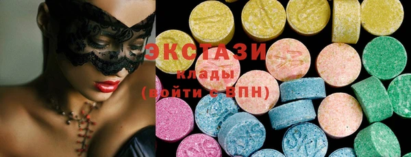 гашик Ельня