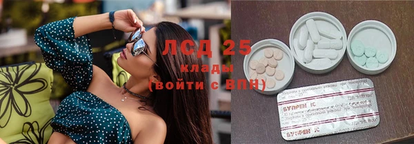 PSILOCYBIN Дмитриев