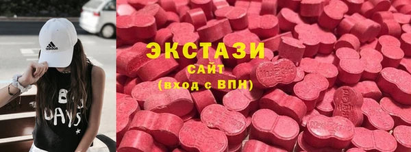 гашик Ельня