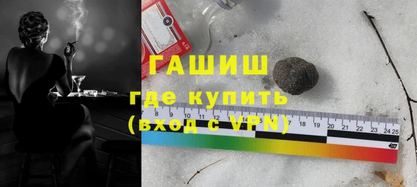 гашик Ельня