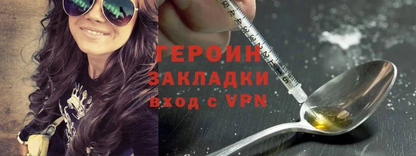 гашик Ельня