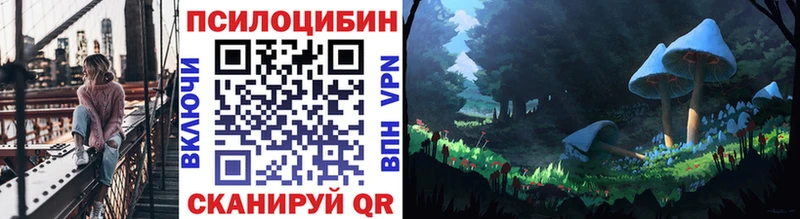 Купить где  Темрюк  Галлюциногенные грибы MAGIC MUSHROOMS 